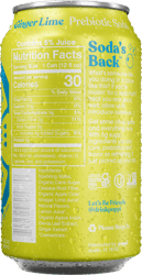 GingerLimeBack_Condensation