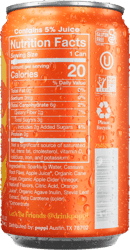 Mini_Orange_BackCondensation