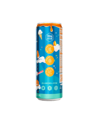 AN_energy_1serve_12oz_US_DreamFloat_0002