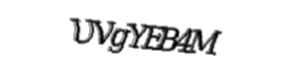 Security check image, please type the characters shown