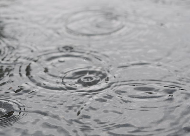 did-you-know-pepsico-story-rain-water-landscape