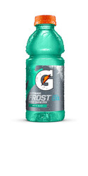 Gatorade Frost Thirst Quencher Arctic Blitz - 20 oz Bottle