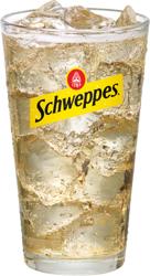 Schweppes GingerAle - Fountain Glass