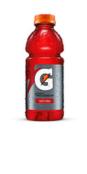 Gatorade Thirst Quencher Fruit Punch - 20 oz Bottle