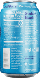 WildBerryBack_Condensation