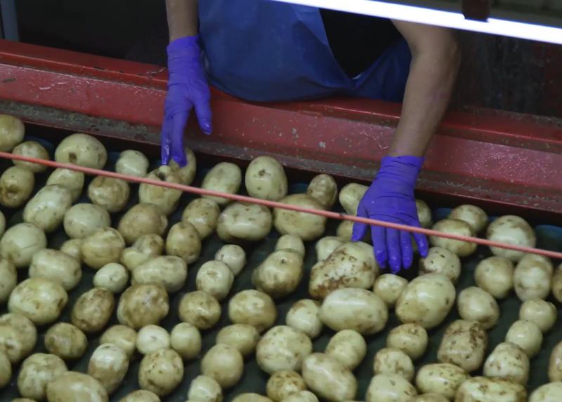 did-you-know-pepsico-story-peel-power-potatoes-landscape