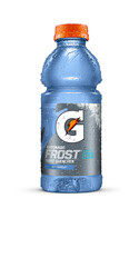 Gatorade Frost Thirst Quencher Icy Charge - 20 oz Bottle