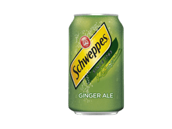 Schweppes Ginger Ale - 12oz