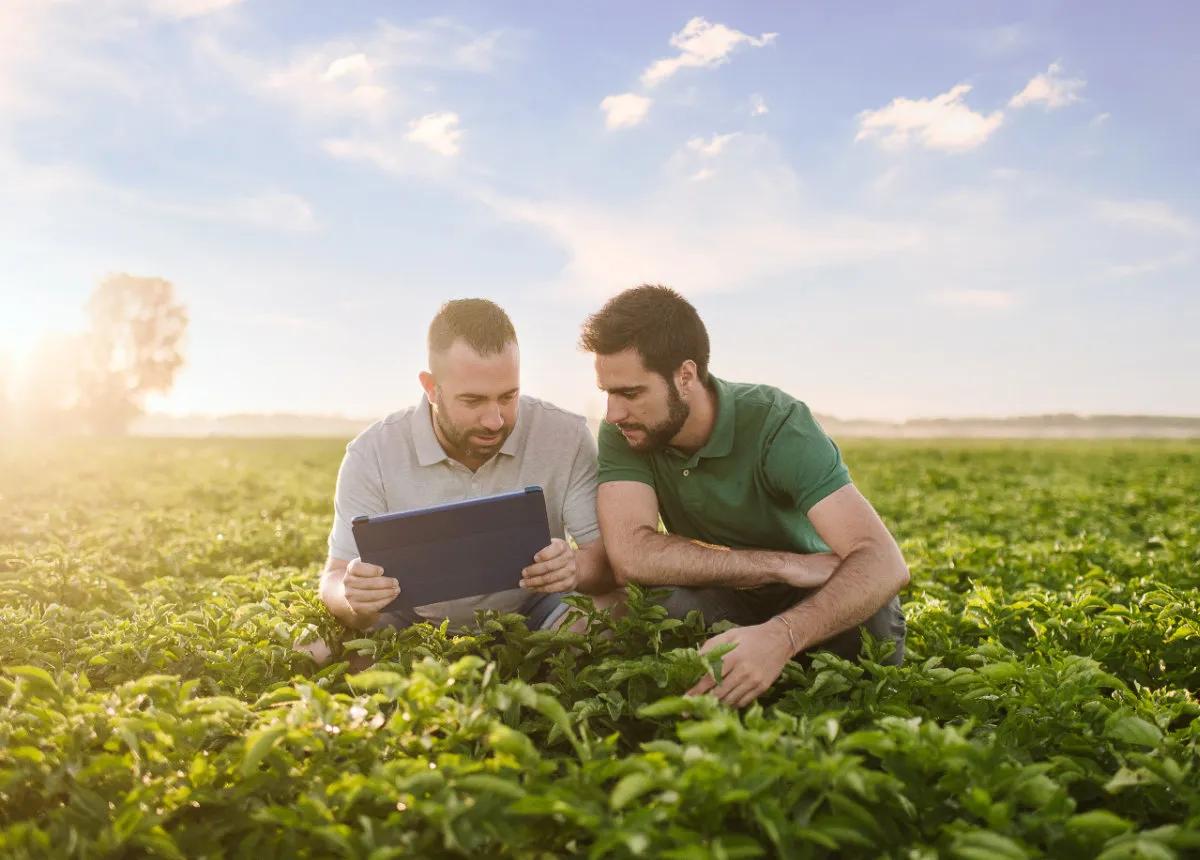 weather-worms-water-hero