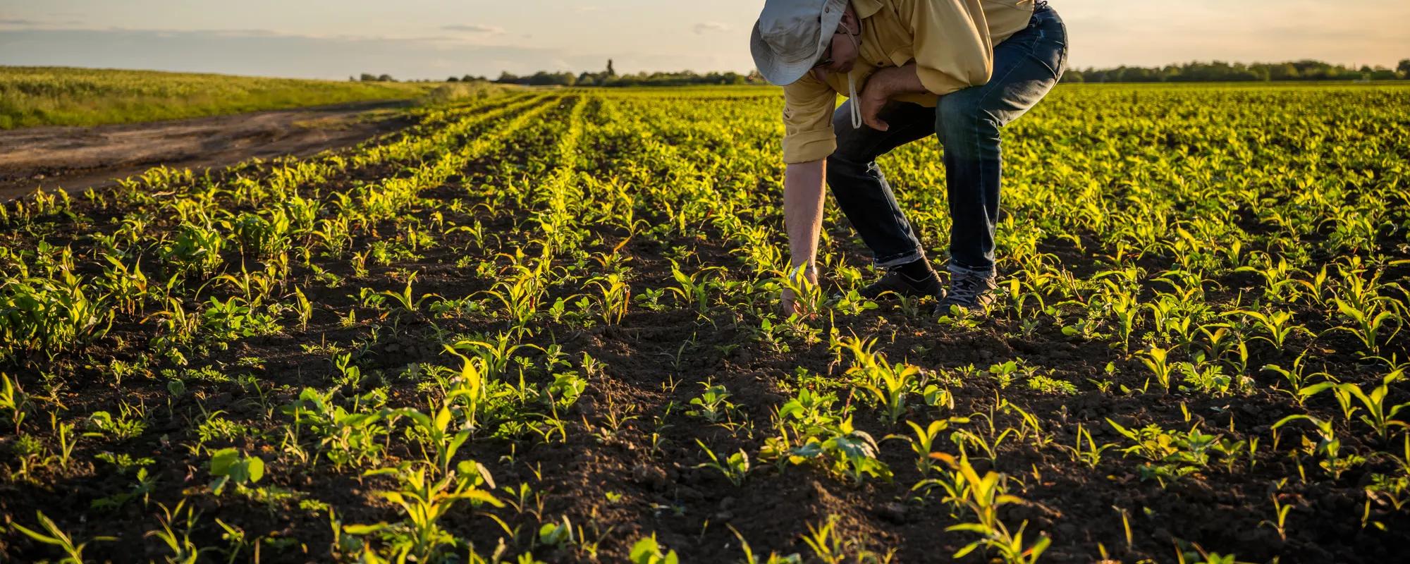 Sustainability Hero Image