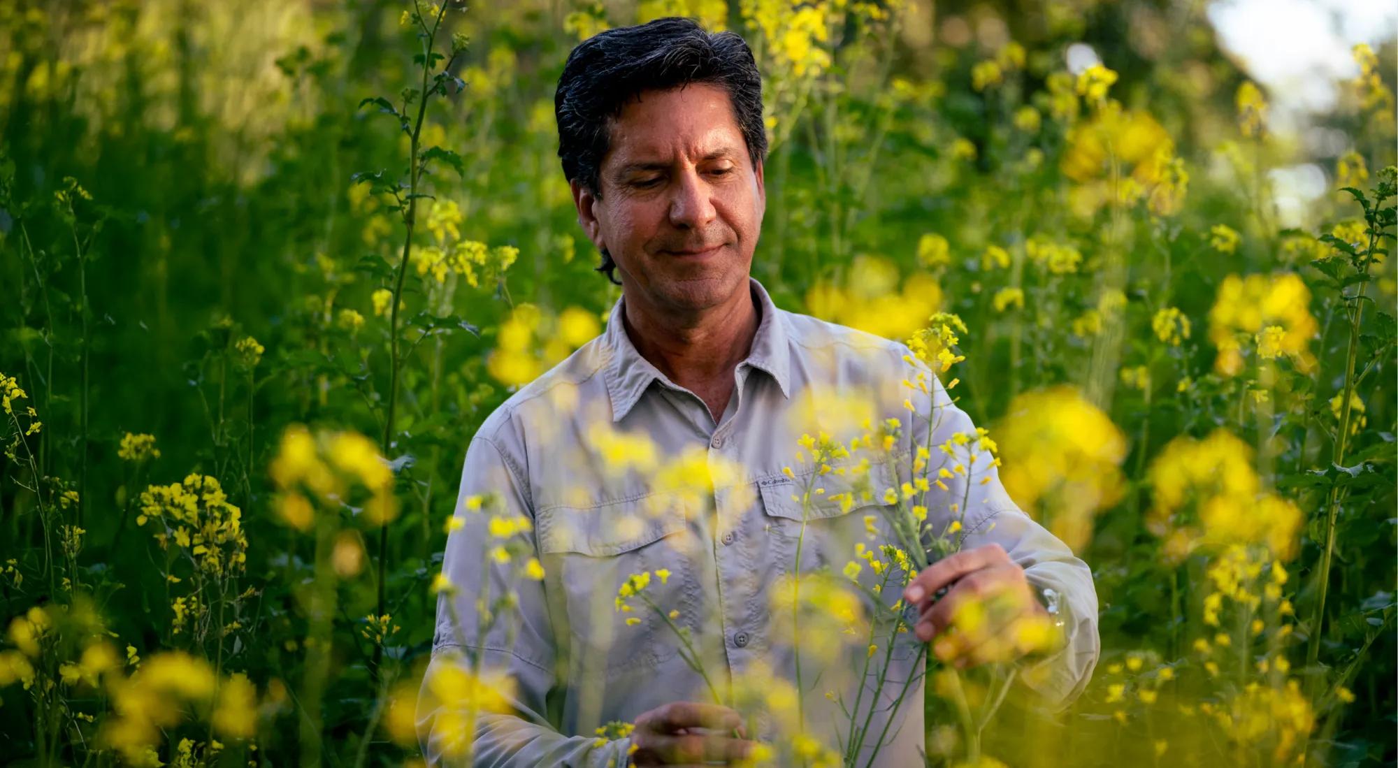 High Res Green Color Way