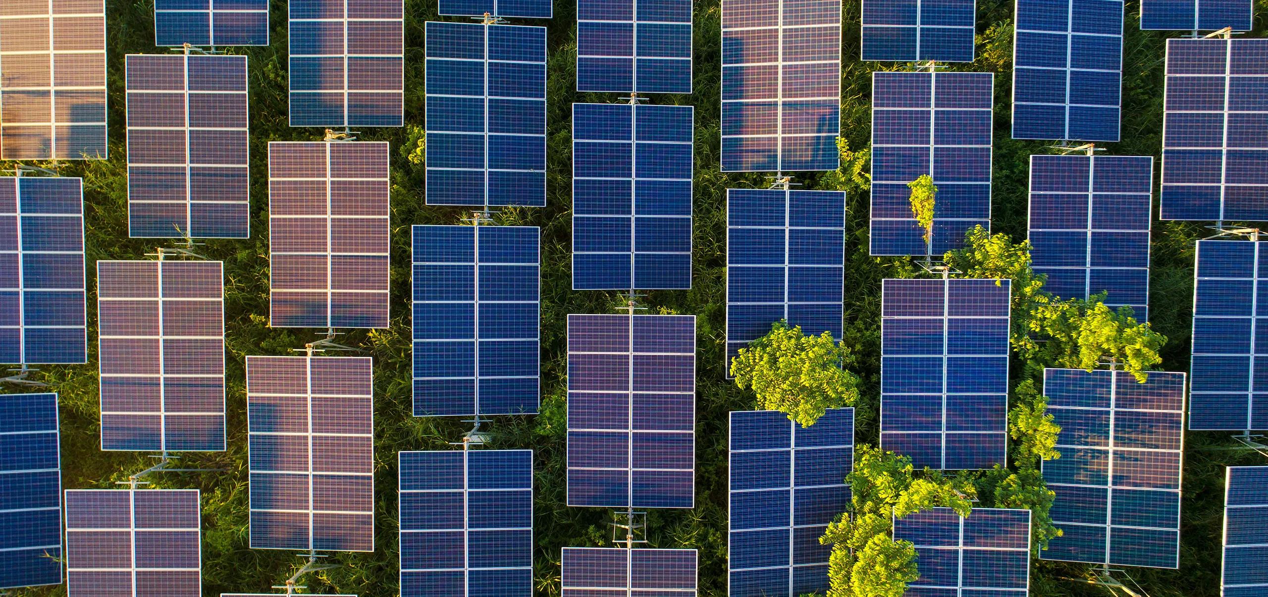 solarpanels