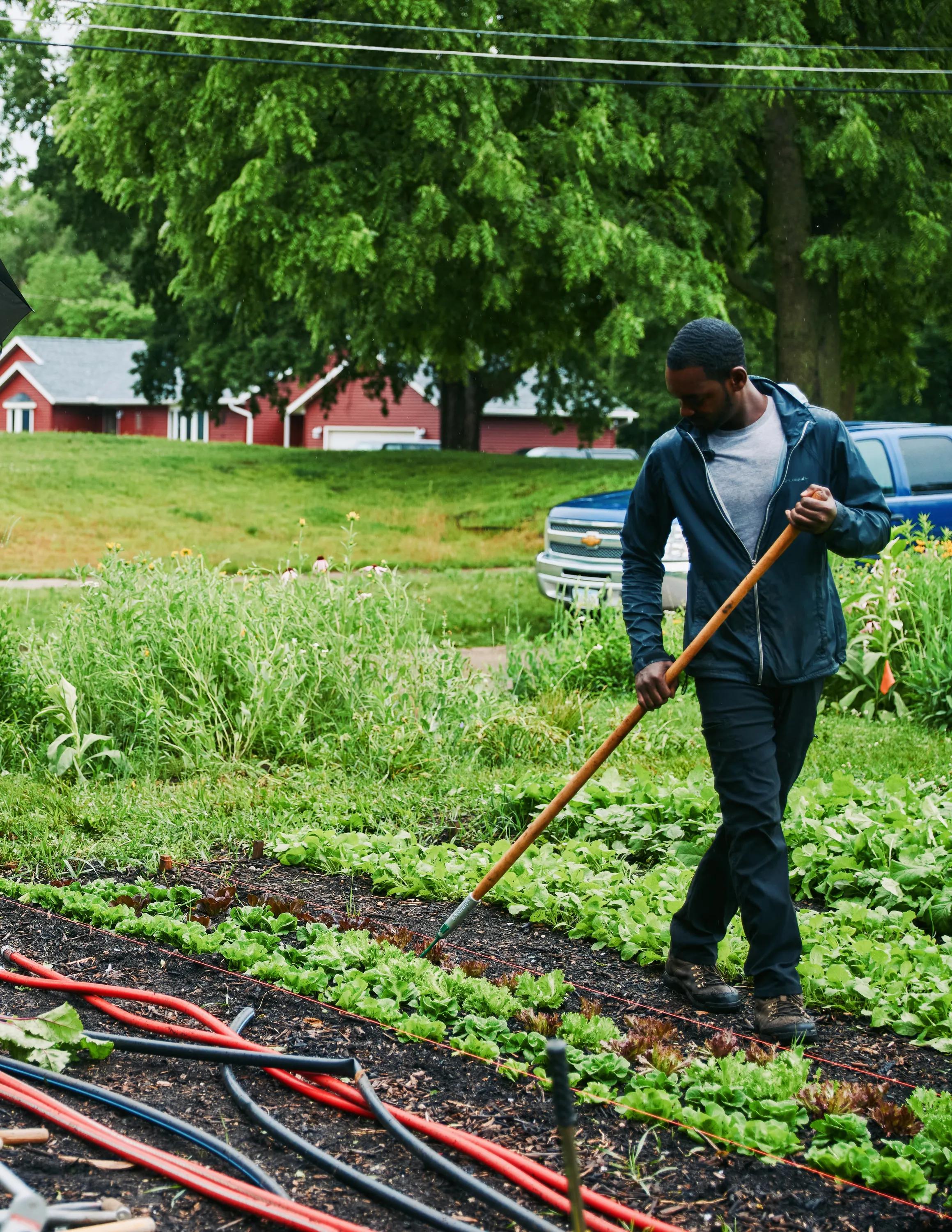 DaQuan-Campbell-garden-2