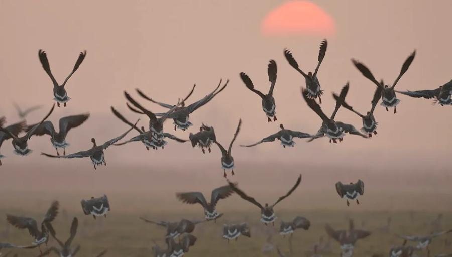 belgium-water-stories-horizontal-images-1200x633