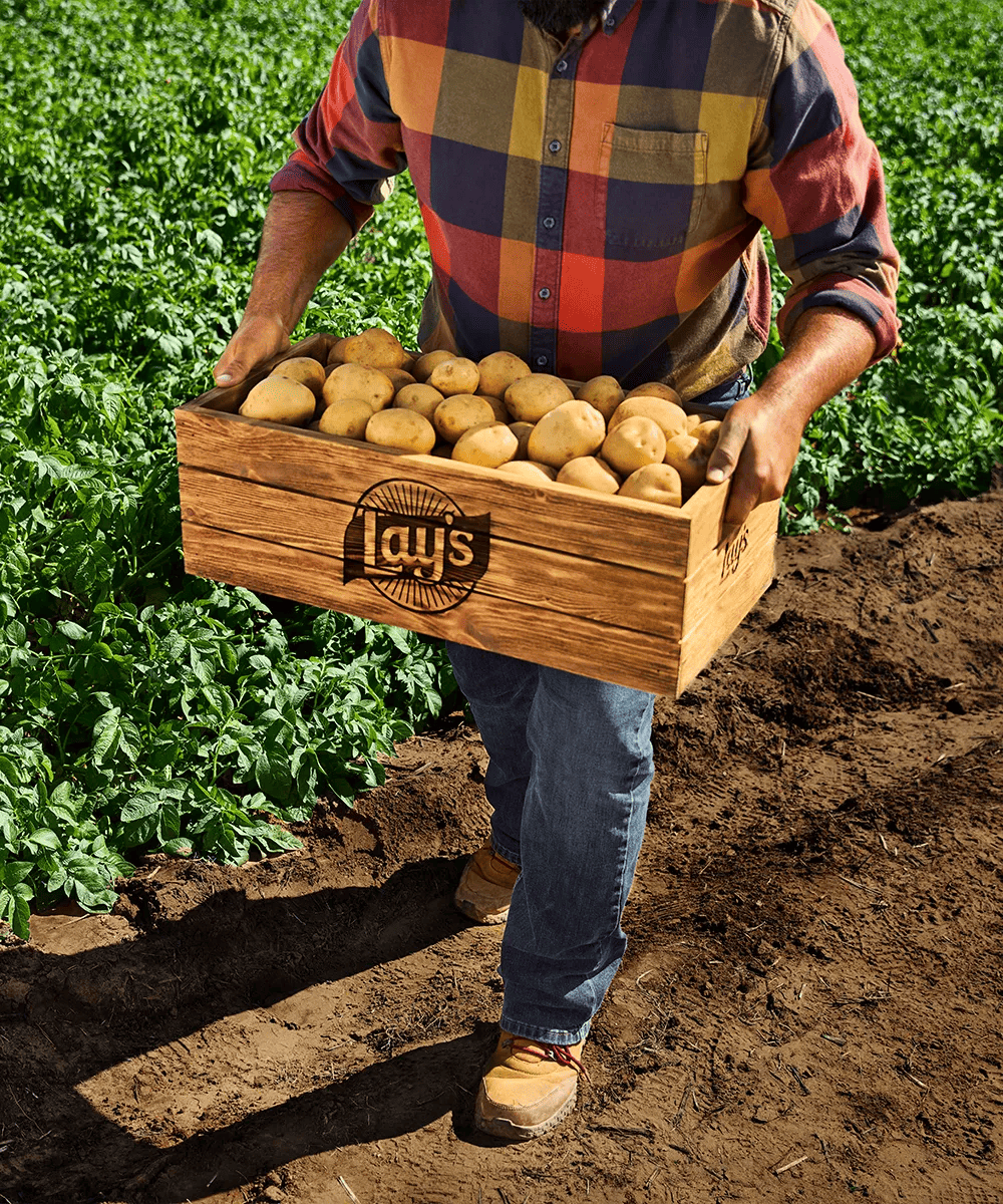 economic-impact-card-potato photo