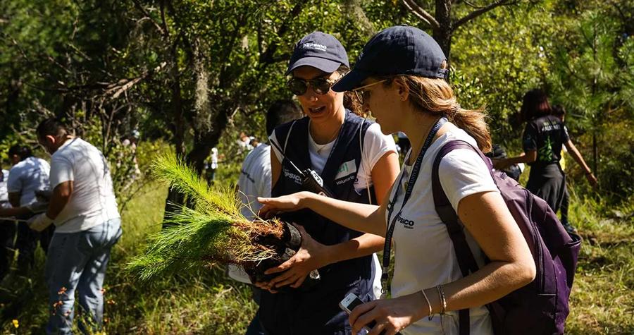 pop-dulce-article-image