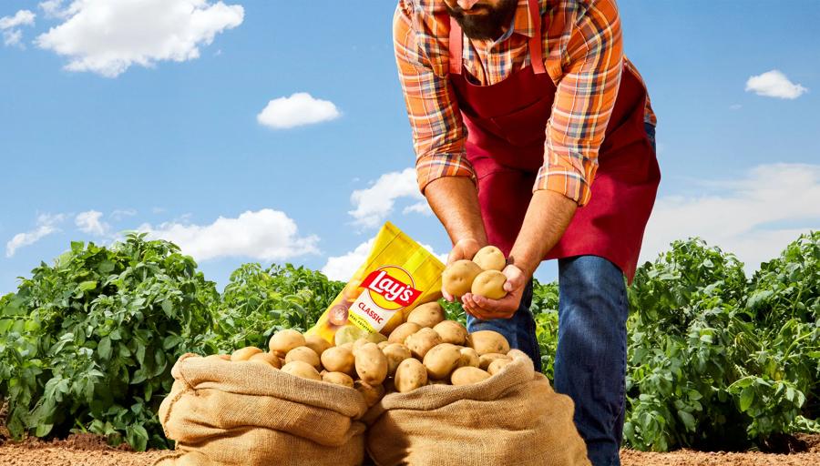 story-from-potato-to-chip-lays-farmer
