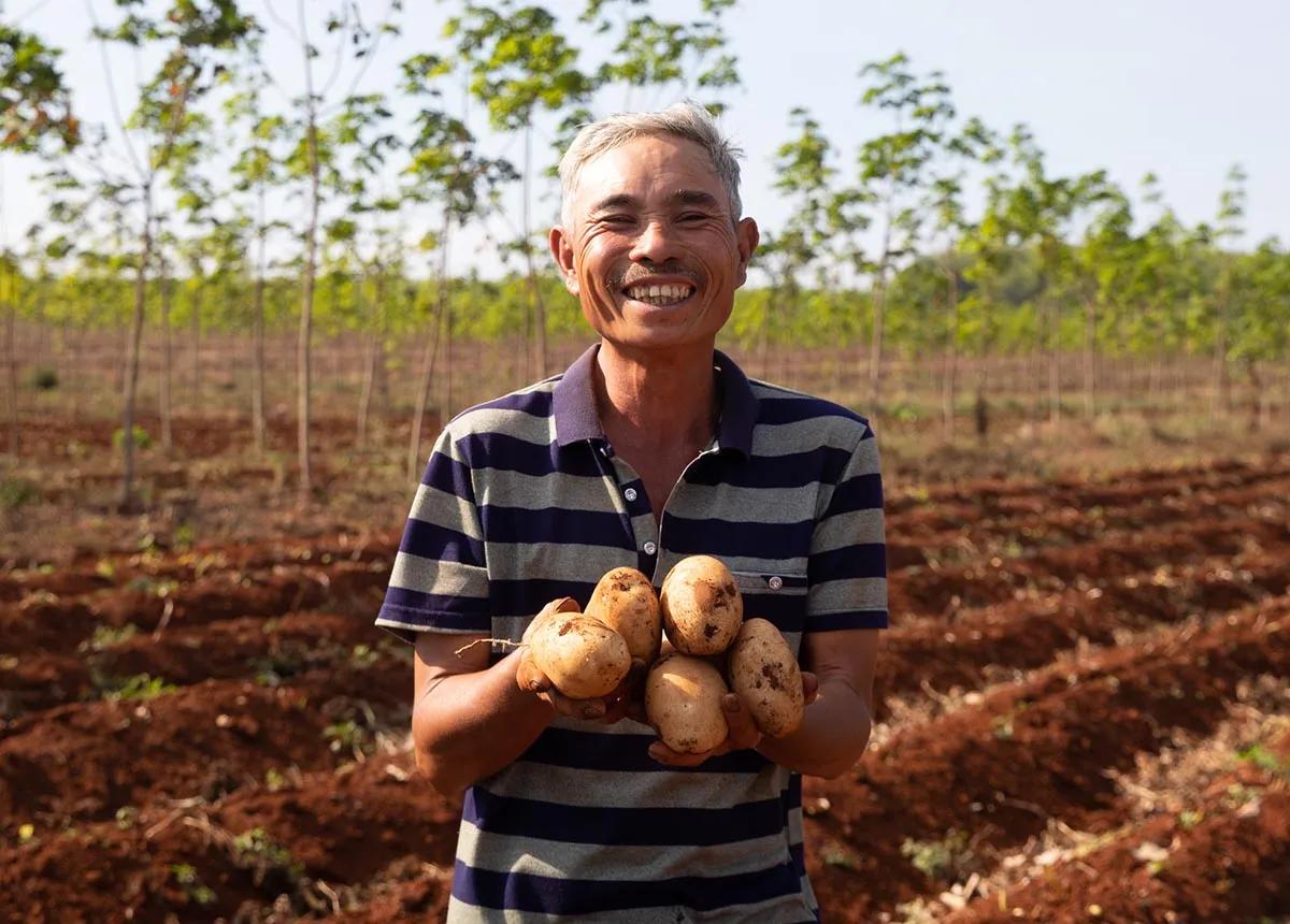 story-soil-day-hero-landscape