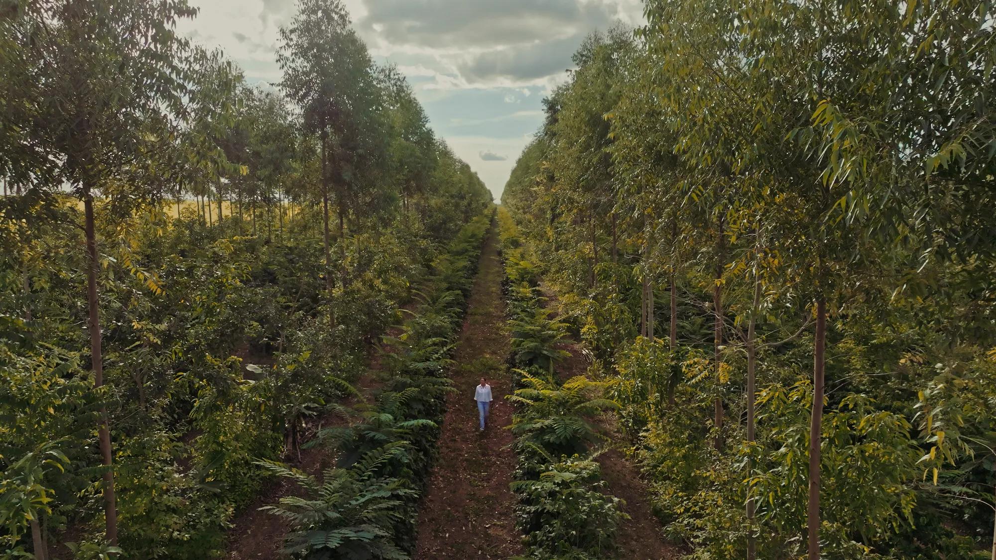 DJI_0291_00000673_AlterEgo