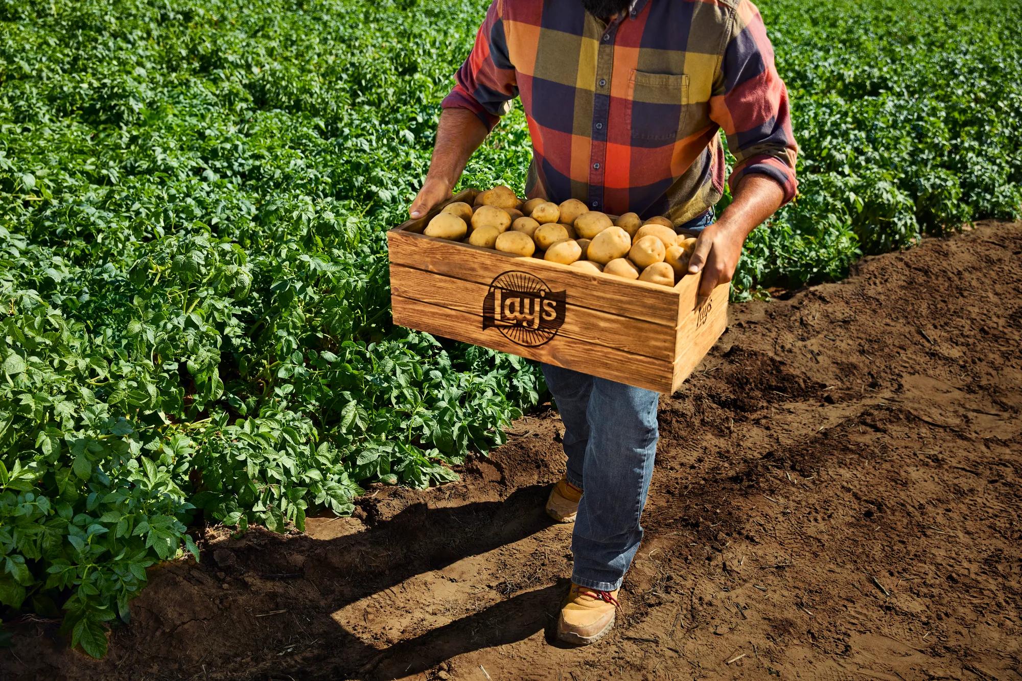 Lays Campaign Spotlights Farmers