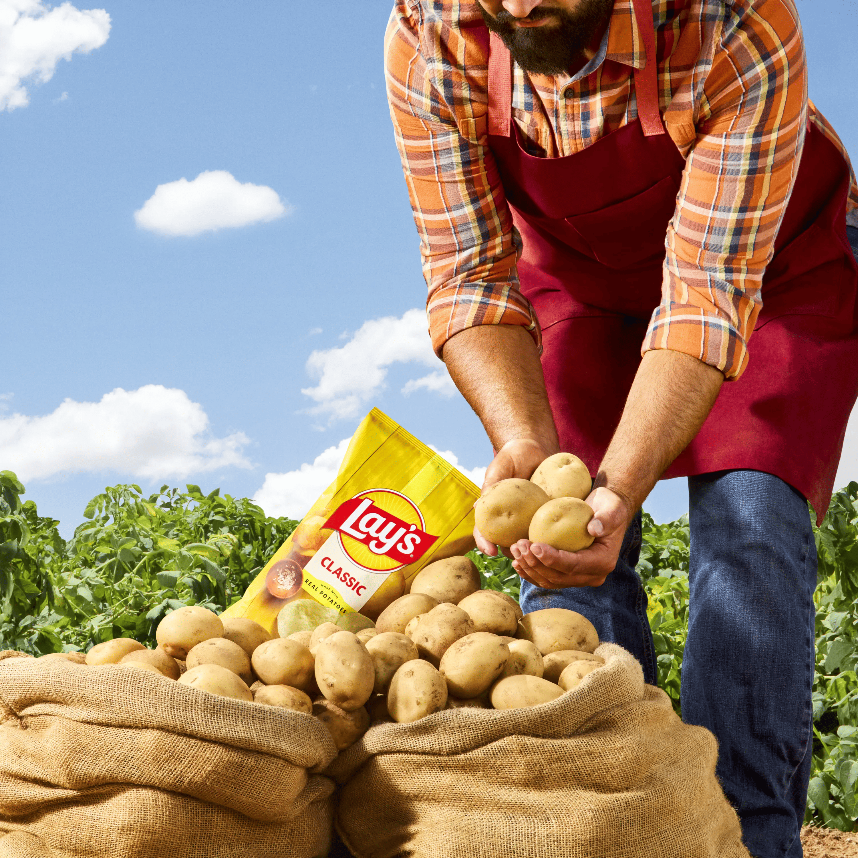lays-classic-individual-holding-potatoes