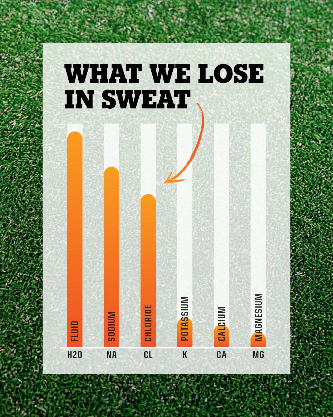 lose-sweat-infographic