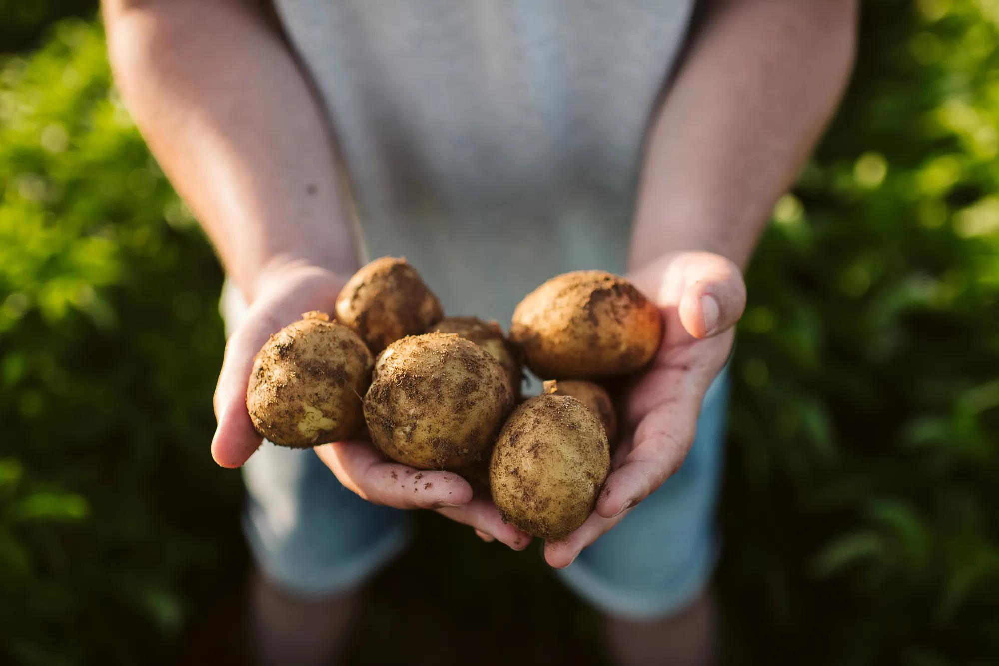 pepsico_icrop-19_2735x1824