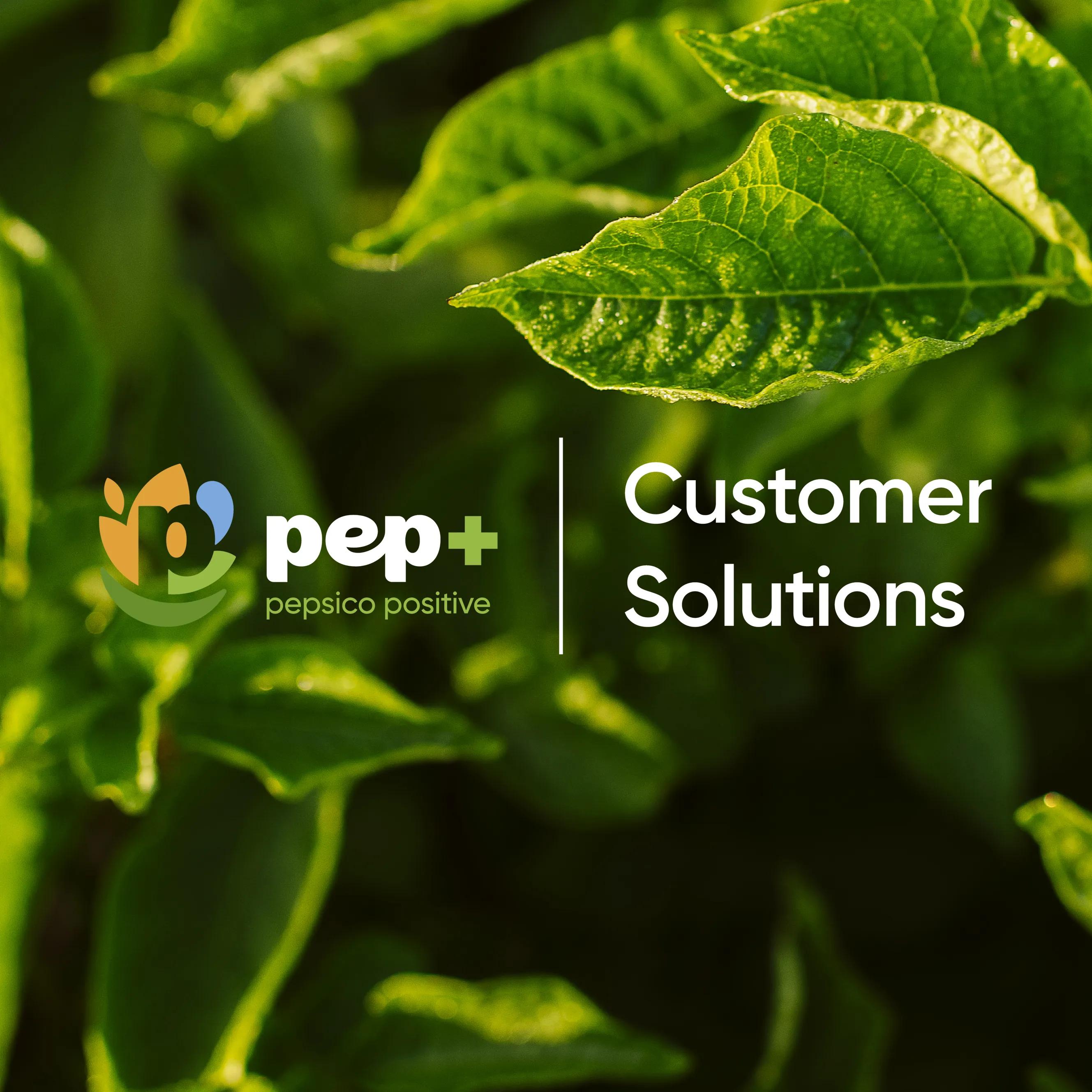 pepsico's net water positive infographic