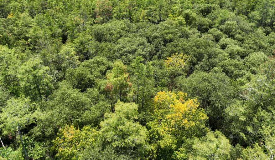 We’re helping to save water and improve water quality around watersheds and wetlands in the Florida Everglades with support from N-Drip, Netafim and Audubon.