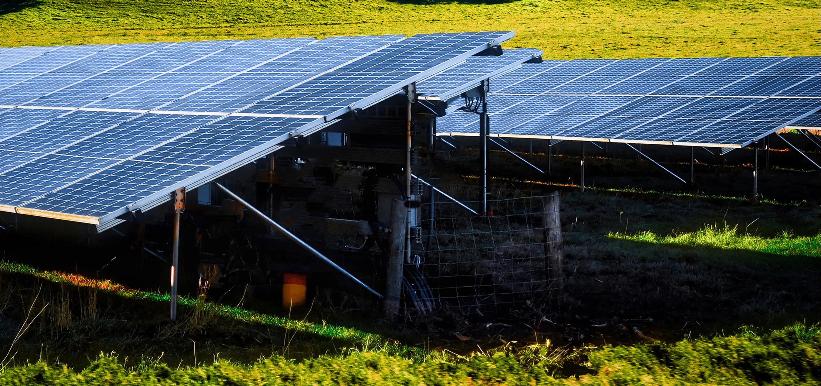 Solar panels on green rolling hills.