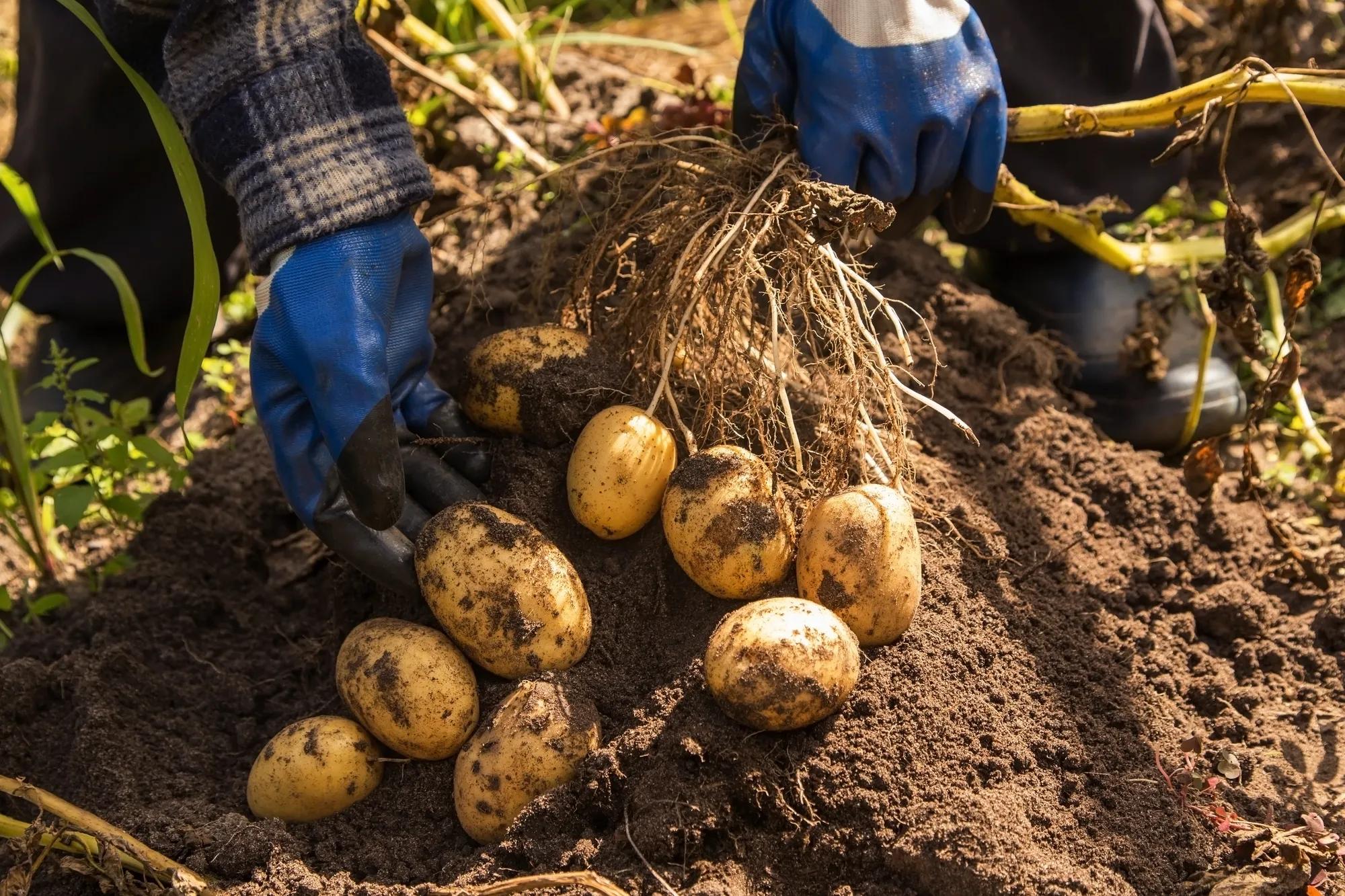 Our Sustainability Work