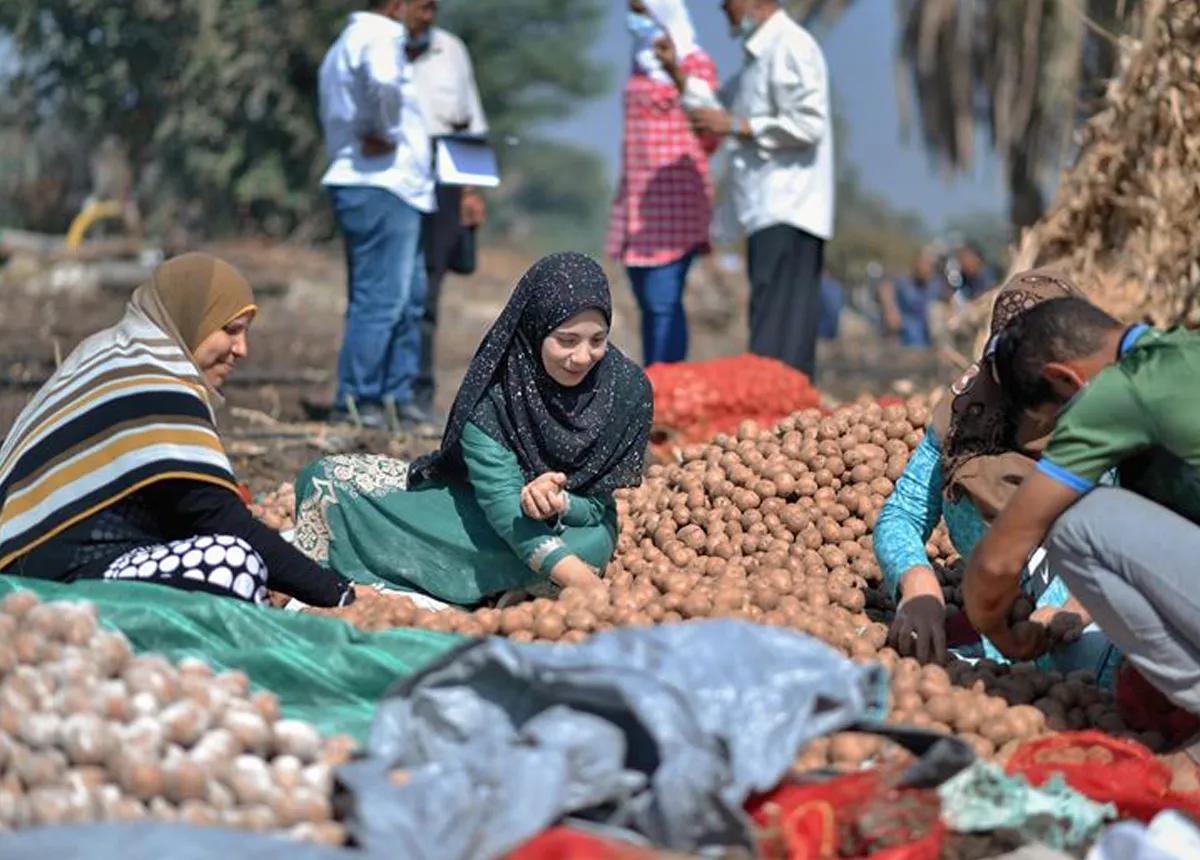 she-feeds-the-world-shaimaa-esmail-mohamad-story-landscape-thumbnail