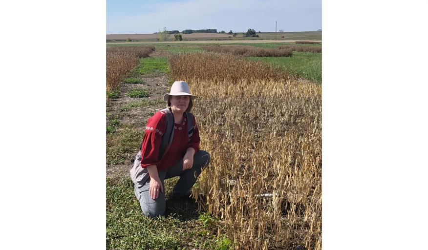 Lana Shaw checks on the progress of a cover crop in Canada.